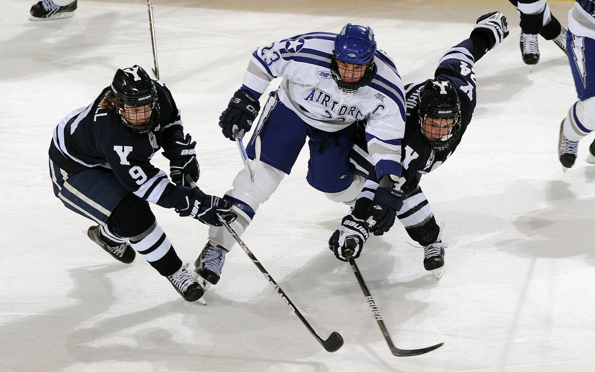骑士横扫森林狼,塔图姆如何用节奏魔法掌控全局?