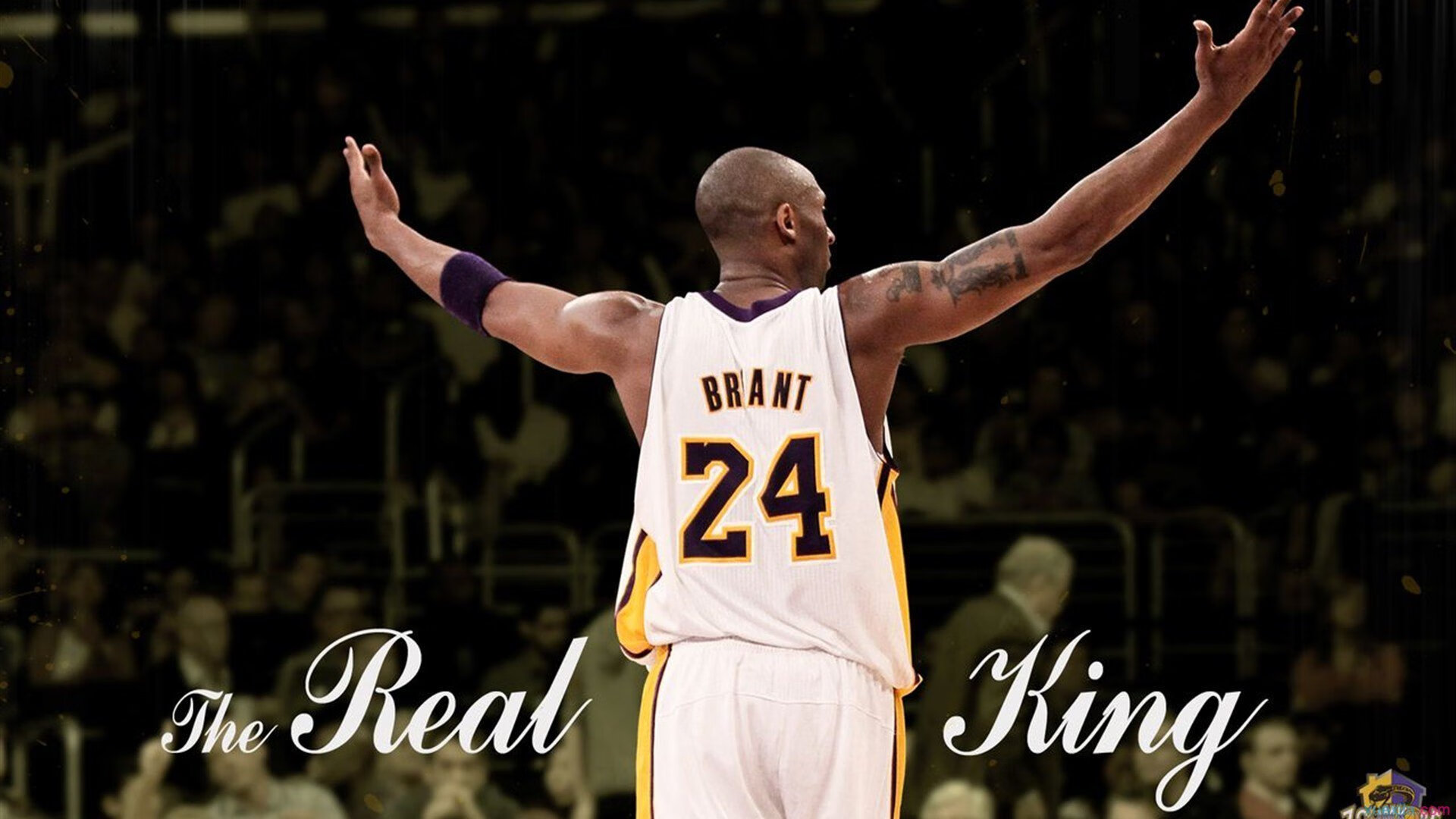 字母哥的加冕礼,当希腊怪兽在总决赛接管一切