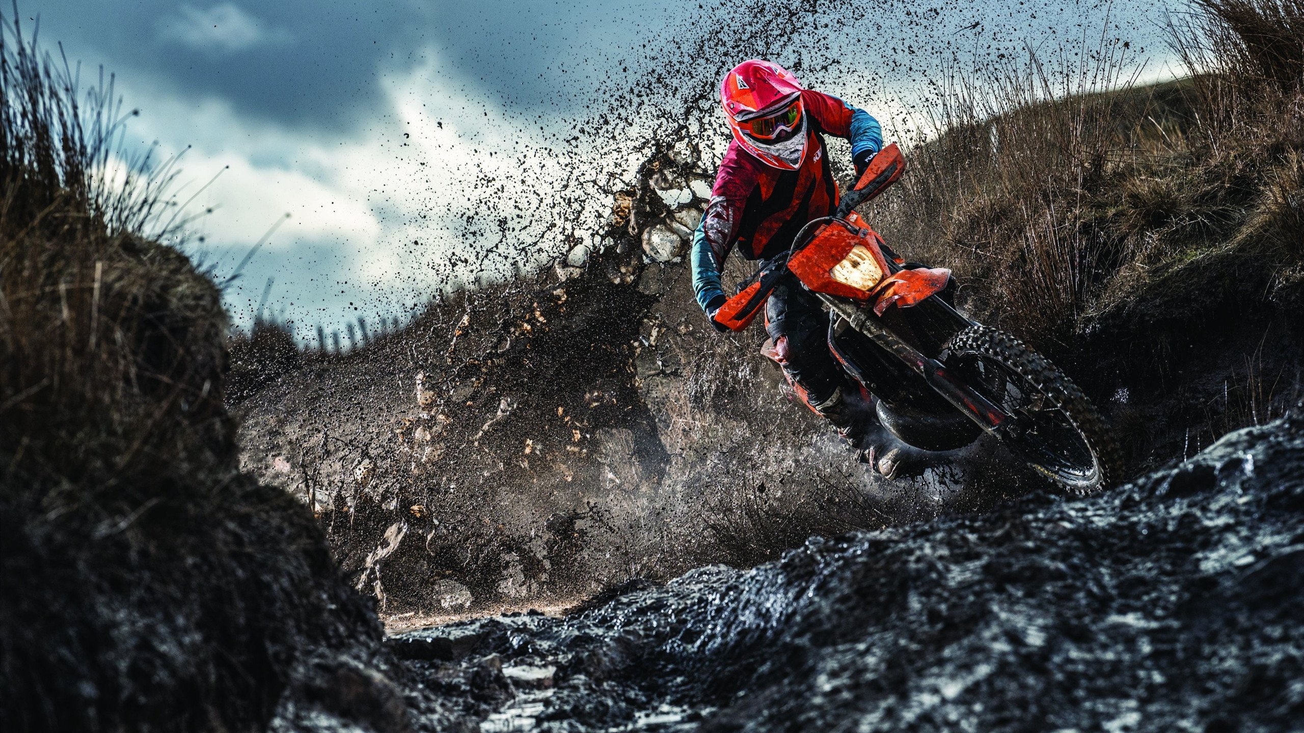 塔图姆季后赛接管模式开启，尼克斯狂胜奇才揭示东部新格局